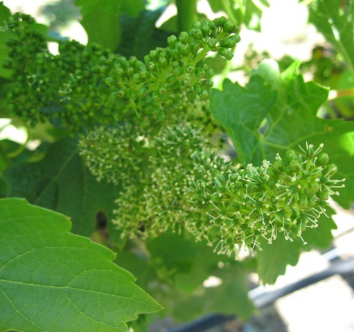 Test 2