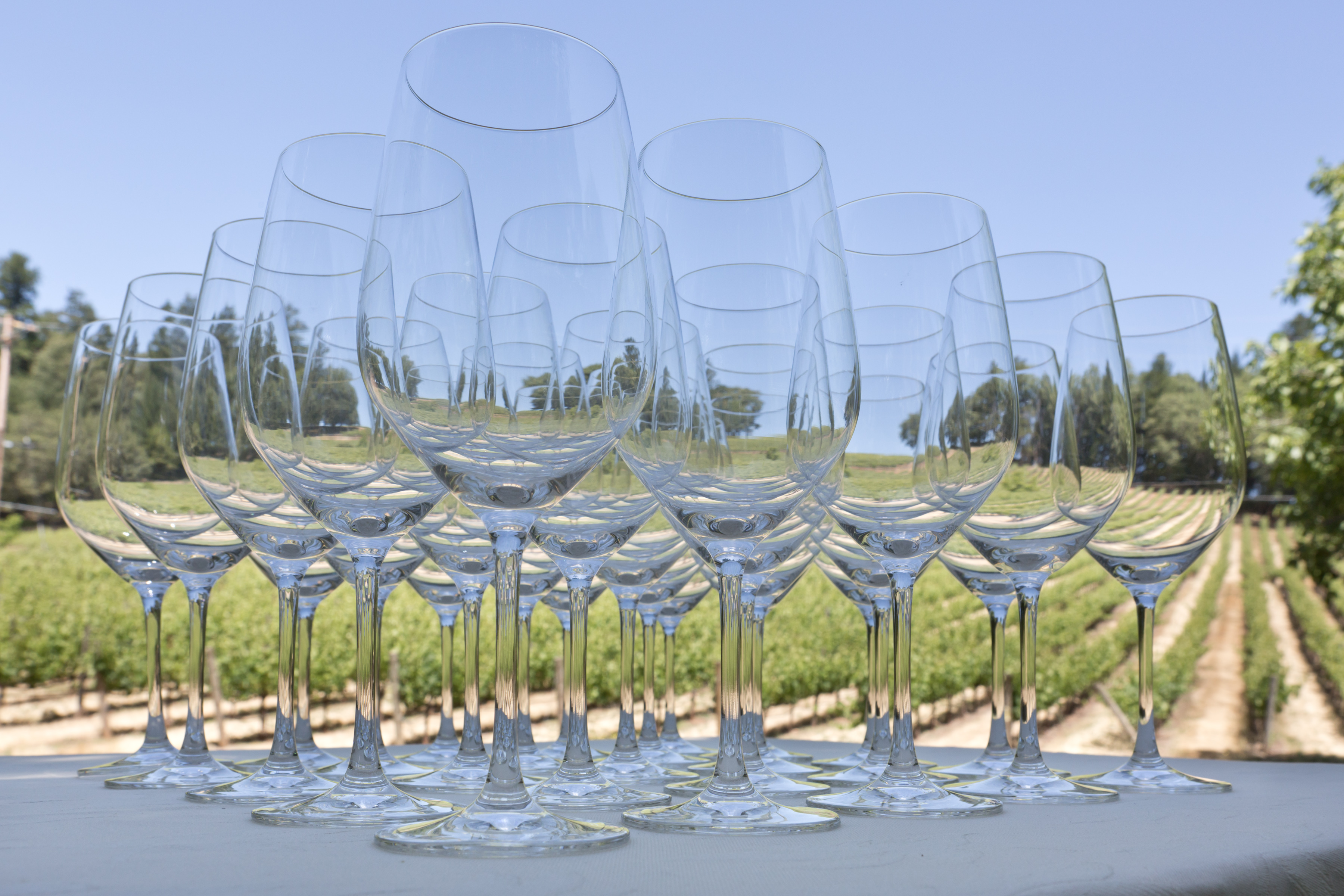 Auction Napa Valley 2015